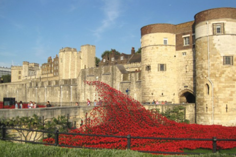 poppies