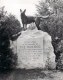 The War Dog
A German Shepherd wearing a Red Cross blanket stands on a rough-hewn boulder. The dog stands in an alert stance with head and ears perked up and tail extended nearly straight. A canteen and helmet lie below the dog's front paws. The helmet has an indentation, possibly representative of a shrapnel hole.