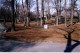 307th infantry memorial grove 1.jpg